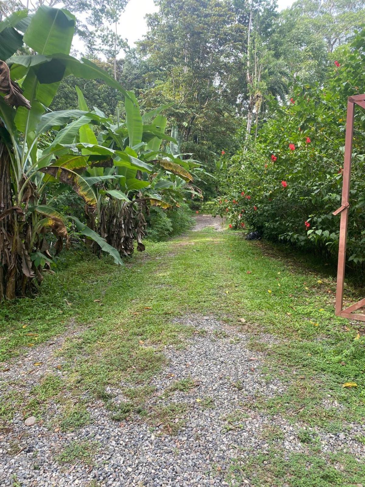 Caribbean Retreats Villa Cocles Exterior foto