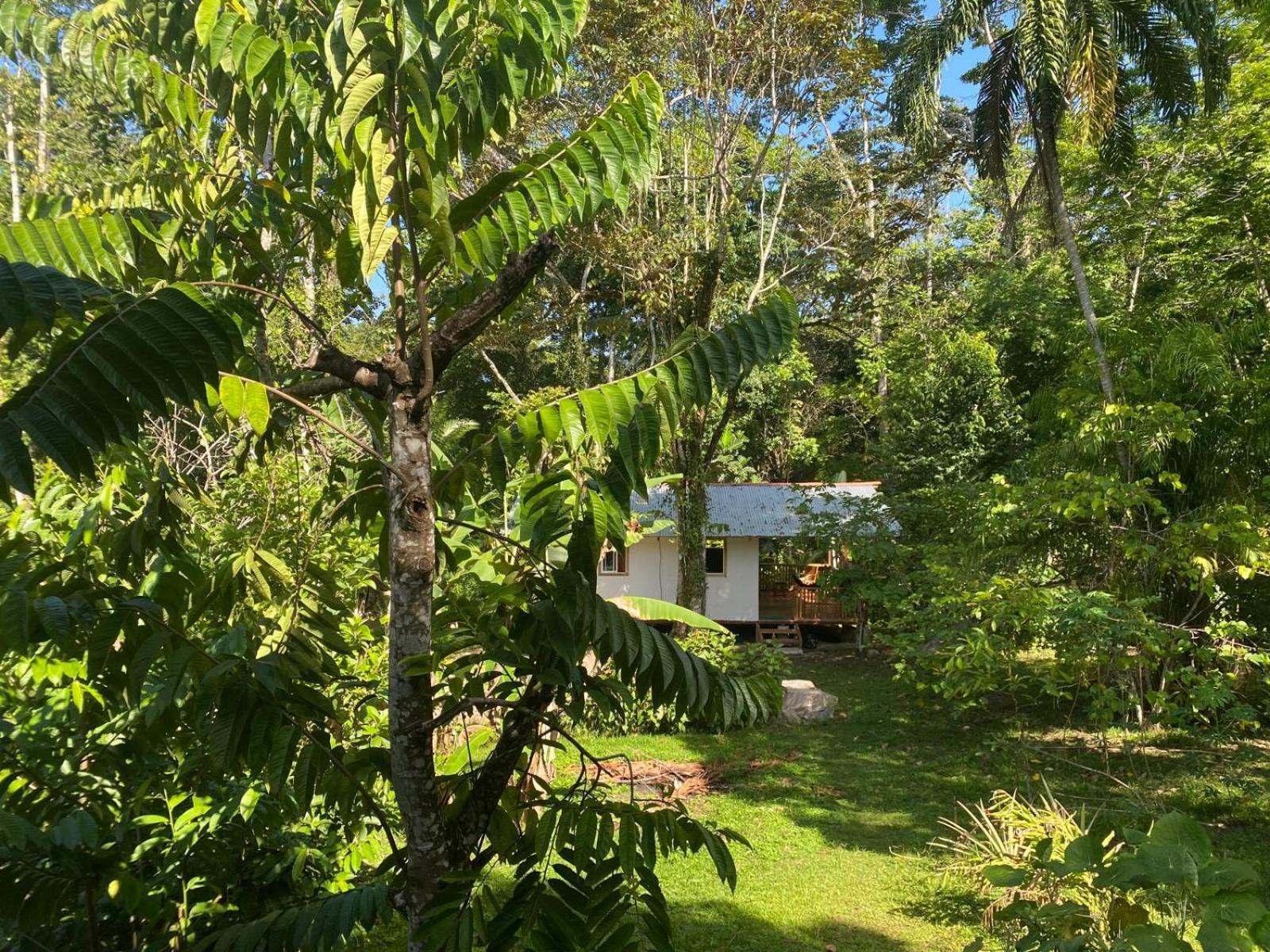 Caribbean Retreats Villa Cocles Exterior foto