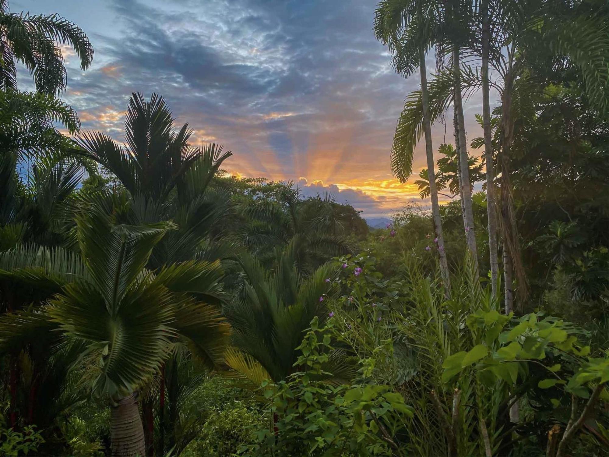 Caribbean Retreats Villa Cocles Exterior foto